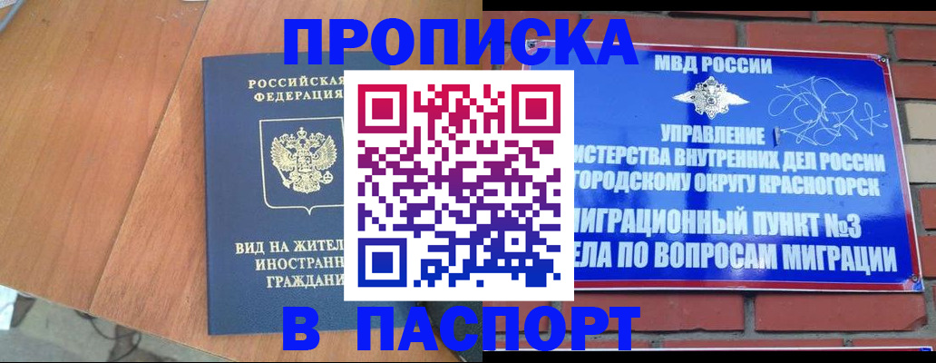 найти адрес прописки в Палласовке