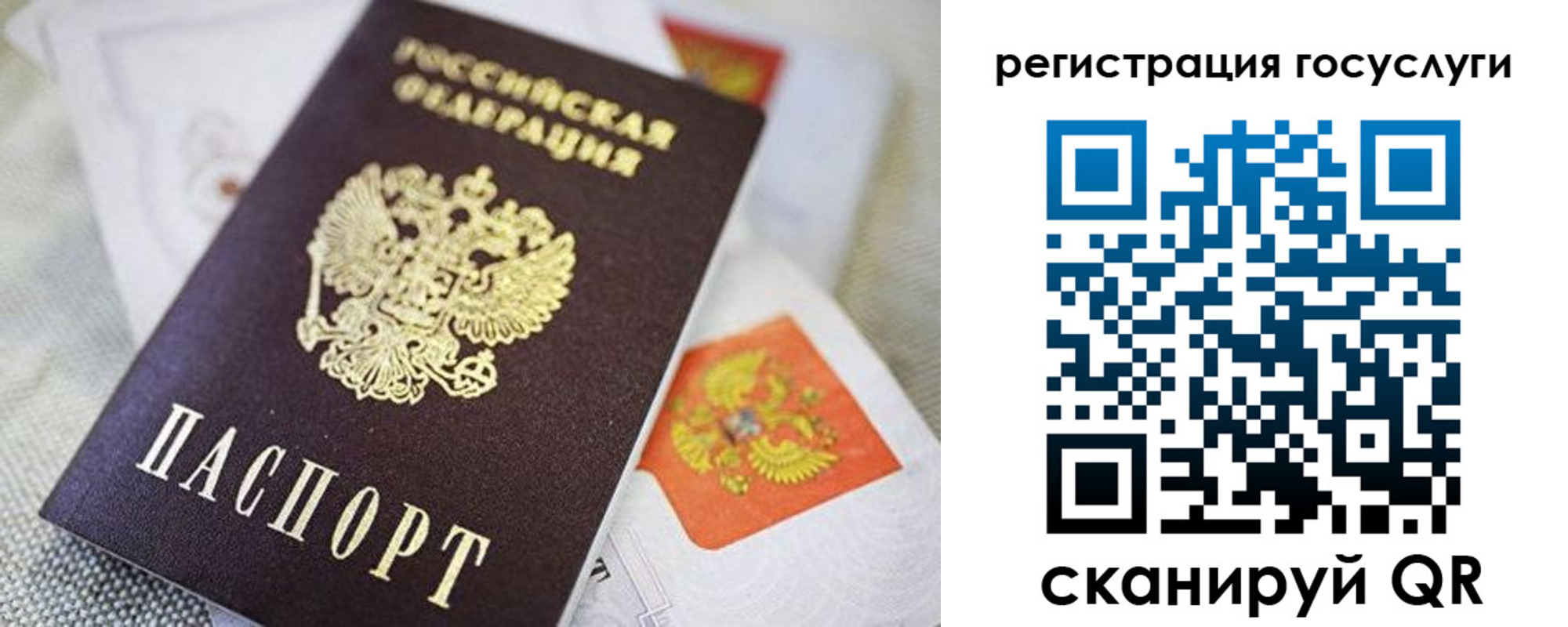 прописка паспорт в Палласовке